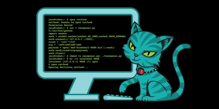 Cómo los hackers están contraatacando a ICE